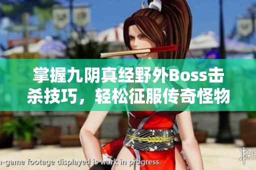 掌握九阴真经野外Boss击杀技巧，轻松征服传奇怪物秘诀