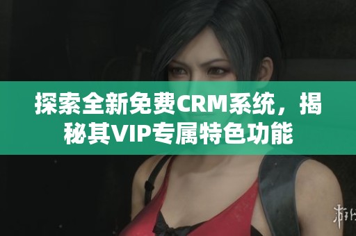 探索全新免费CRM系统，揭秘其VIP专属特色功能