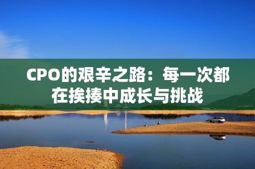 CPO的艰辛之路：每一次都在挨揍中成长与挑战