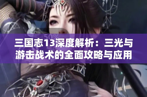 三国志13深度解析：三光与游击战术的全面攻略与应用