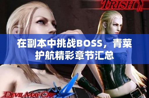 在副本中挑战BOSS，青菜护航精彩章节汇总