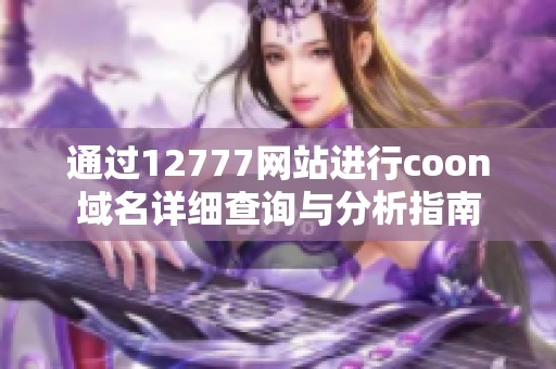 通过12777网站进行coon域名详细查询与分析指南