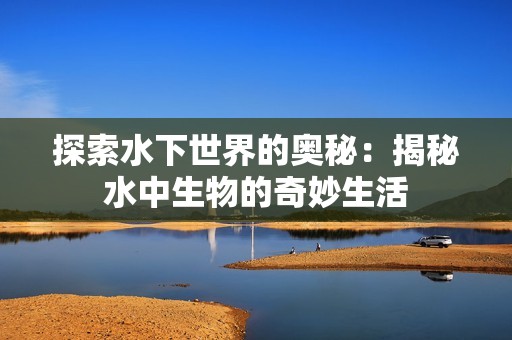 探索水下世界的奥秘：揭秘水中生物的奇妙生活