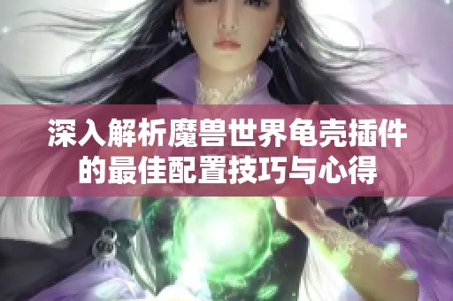 深入解析魔兽世界龟壳插件的最佳配置技巧与心得