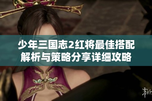 少年三国志2红将最佳搭配解析与策略分享详细攻略