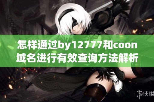 怎样通过by12777和coon域名进行有效查询方法解析