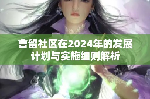 曹留社区在2024年的发展计划与实施细则解析