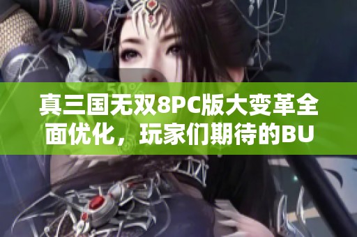 真三国无双8PC版大变革全面优化，玩家们期待的BUG消除计划揭秘