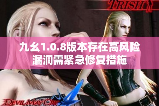 九幺1.0.8版本存在高风险漏洞需紧急修复措施