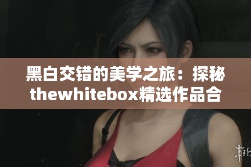 黑白交错的美学之旅：探秘thewhitebox精选作品合集