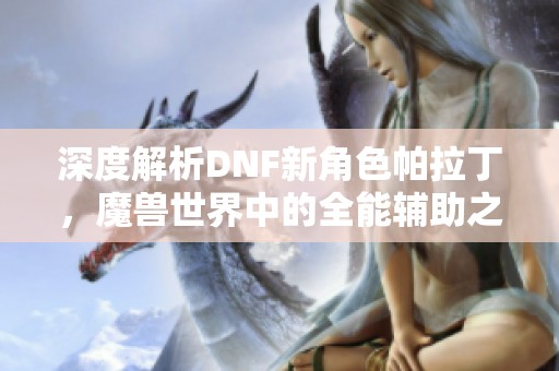 深度解析DNF新角色帕拉丁，魔兽世界中的全能辅助之星