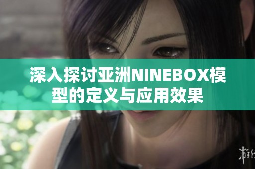 深入探讨亚洲NINEBOX模型的定义与应用效果