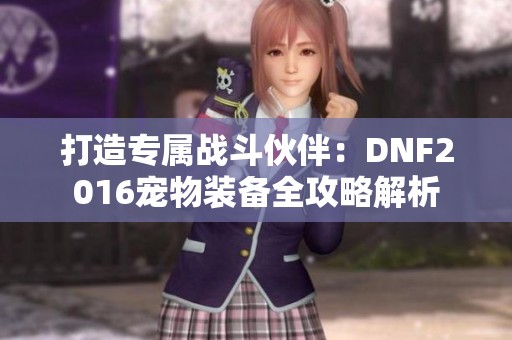 打造专属战斗伙伴：DNF2016宠物装备全攻略解析