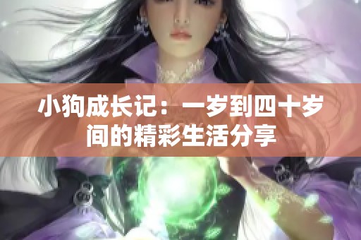 小狗成长记：一岁到四十岁间的精彩生活分享