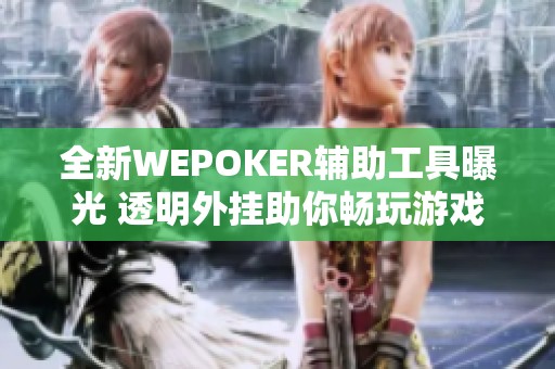 全新WEPOKER辅助工具曝光 透明外挂助你畅玩游戏