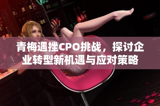 青梅遇挫CPO挑战，探讨企业转型新机遇与应对策略