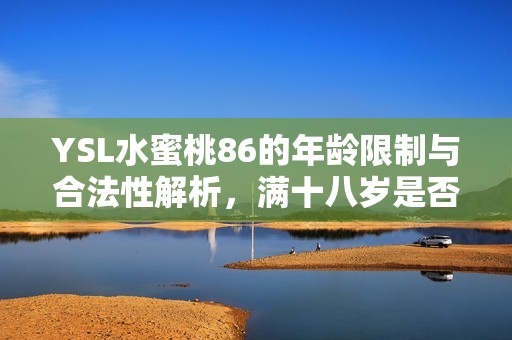 YSL水蜜桃86的年龄限制与合法性解析，满十八岁是否合规