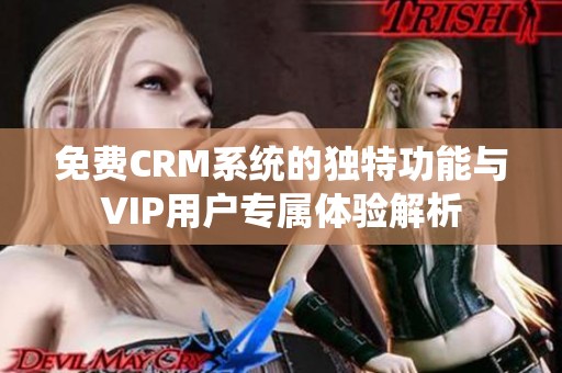 免费CRM系统的独特功能与VIP用户专属体验解析