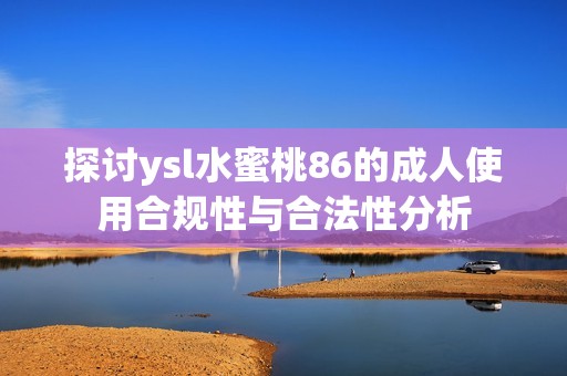 探讨ysl水蜜桃86的成人使用合规性与合法性分析