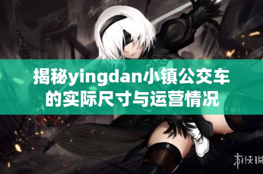 揭秘yingdan小镇公交车的实际尺寸与运营情况