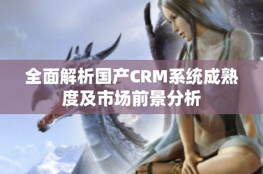 全面解析国产CRM系统成熟度及市场前景分析