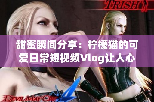 甜蜜瞬间分享：柠檬猫的可爱日常短视频Vlog让人心动