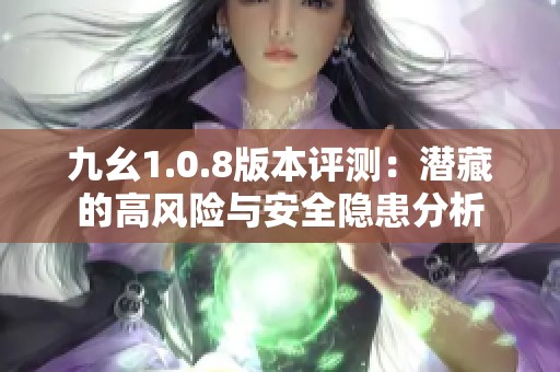 九幺1.0.8版本评测：潜藏的高风险与安全隐患分析