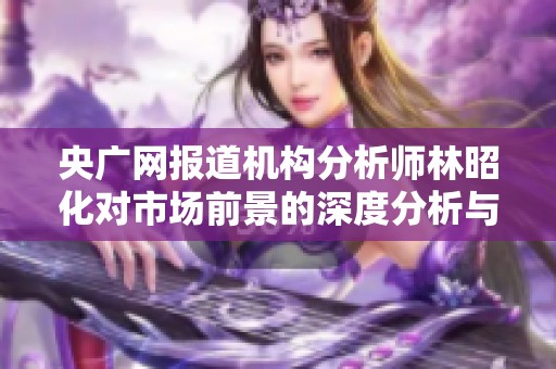 央广网报道机构分析师林昭化对市场前景的深度分析与解读