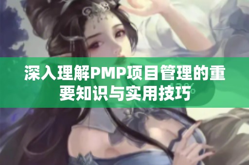 深入理解PMP项目管理的重要知识与实用技巧