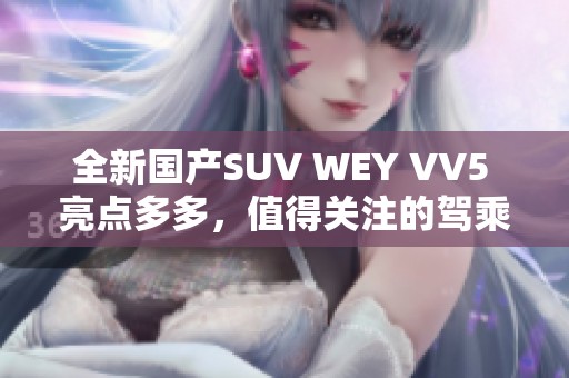 全新国产SUV WEY VV5 亮点多多，值得关注的驾乘体验