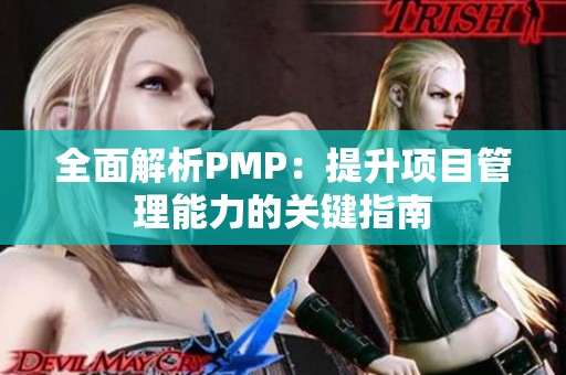 全面解析PMP：提升项目管理能力的关键指南