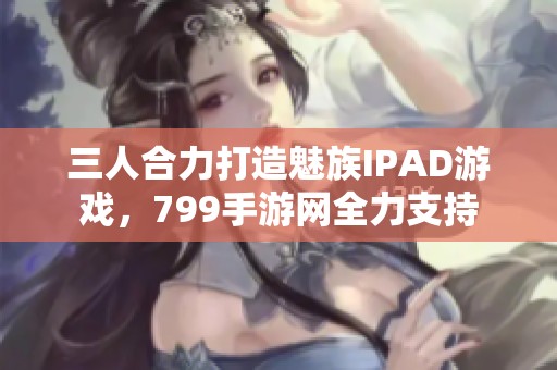 三人合力打造魅族IPAD游戏，799手游网全力支持