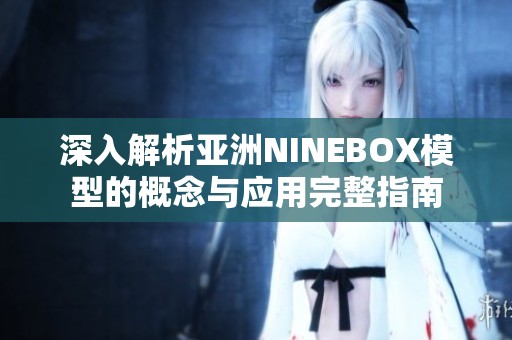 深入解析亚洲NINEBOX模型的概念与应用完整指南