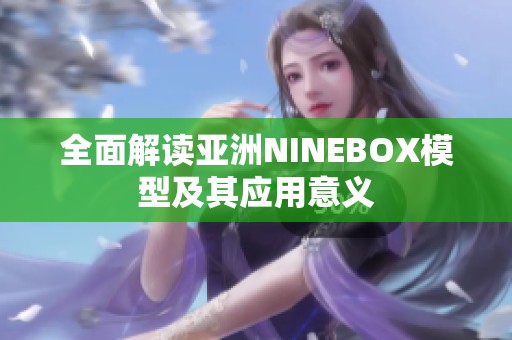 全面解读亚洲NINEBOX模型及其应用意义